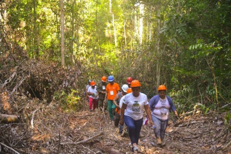 ICMBio solicita paralisação do manejo florestal nas Unidades de Conservação na Amazônia