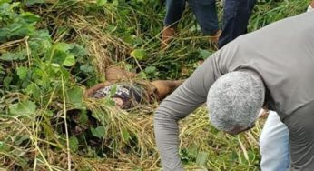 Homem é encontrado morto em ramal com marcas de agressão e perfurações de faca