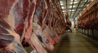 Ministra diz que pecuária do Acre valoriza carne brasileira no mercado internacional
