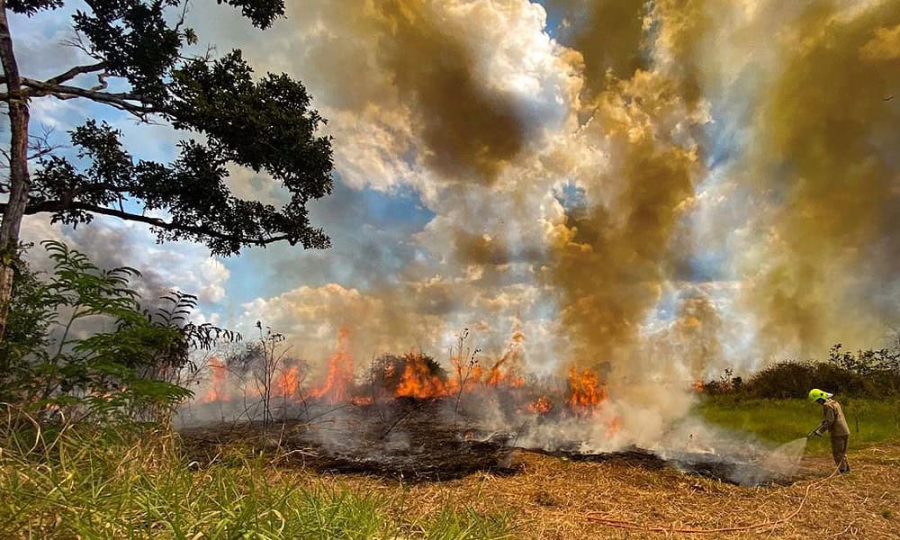 Campeões do fogo no Acre, Feijó e Tarauacá superam 1.500 focos de queimadas em 2023