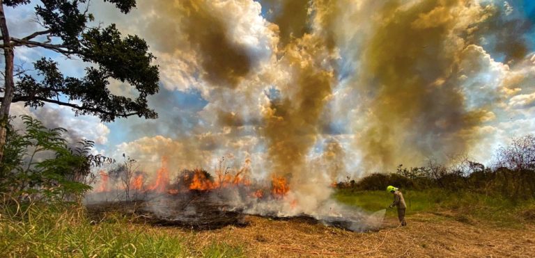 Brasiléia é o município do Acre com mais focos de queimadas