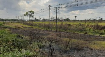 Energisa alerta sobre os riscos de queimadas próximas à rede elétrica