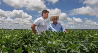 Acre reduz produção de arroz em 27% e de feijão em 22% em 3 anos; em 2020, Estado matou 11% menos bovinos