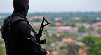A geografia da violência, mas pode ser da paz!