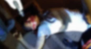Assaltante tenta roubar motorista de aplicativo e acaba morto