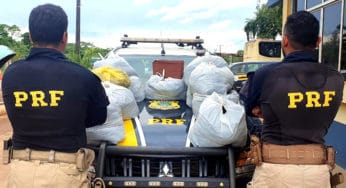 Mais de 100 kg de cabelo humano importado do Peru são apreendidos pela PRF