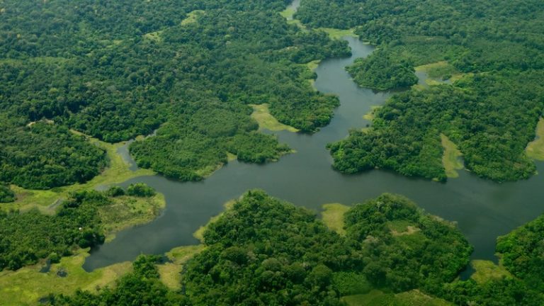 Dívidas do Fundo da Amazônia podem ser renegociadas a partir de hoje (20)