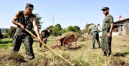 ALISTAMENTO MILITAR JÁ COMEÇOU E PODE SER FEITO PELA INTERNET