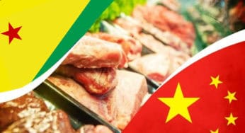Hong Kong foi o maior destino das exportações do Acre em 2020
