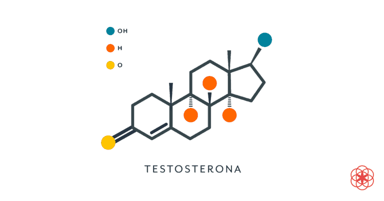 Você sabe qual o papel da testosterona no homem?