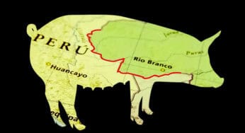 Soja domina valor das exportações e carne suína cresce 264,9% no Acre