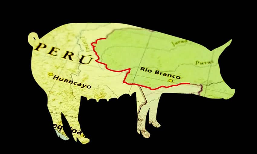 Soja domina valor das exportações e carne suína cresce 264,9% no Acre