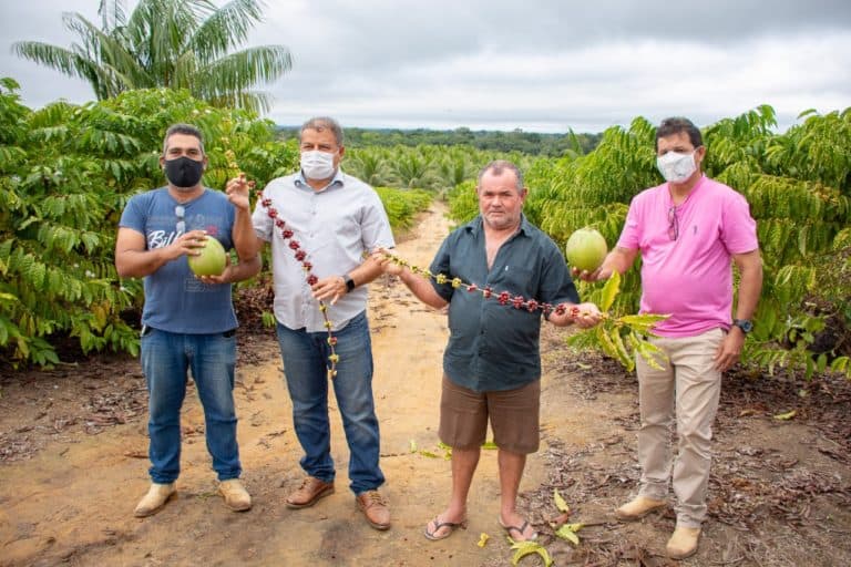 Mâncio Lima já vende 40 mil cocos por mês para Rio Branco e tem plantação de café em expansão