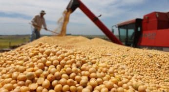 Ministério da Agricultura define semeadura da soja no Acre para próxima safra