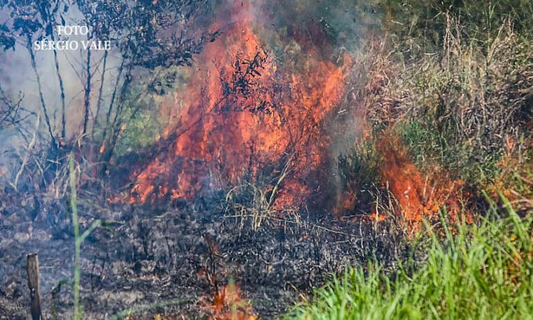 Vazio fundiário está entre os motivos do alto índice de queimadas na região de Feijó e Tarauacá