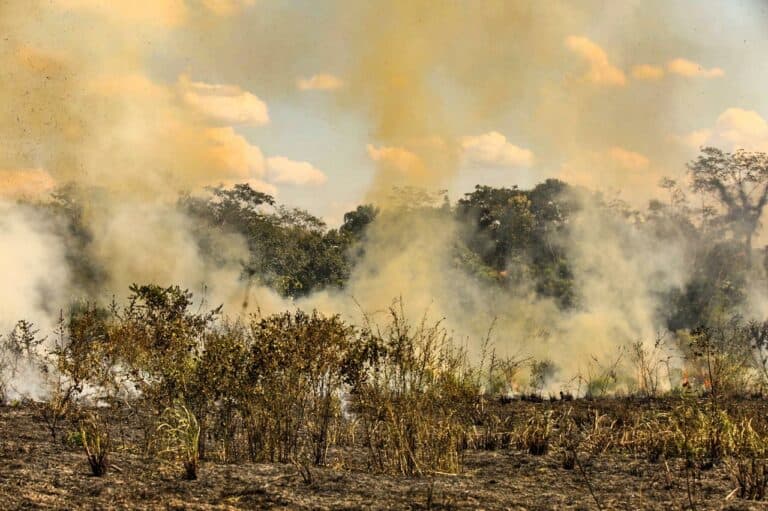 Ministério da Justiça lança operação de combate às queimadas no Acre e 10 estados