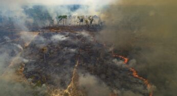 Floresta amazônica já emite mais gás carbônico do que absorve
