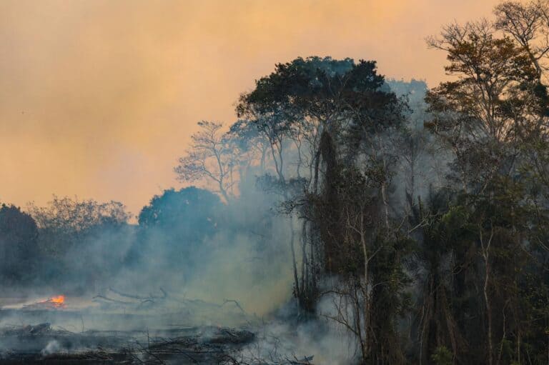 Mais de 44% das queimadas no Acre ocorrem em Feijó e Tarauacá