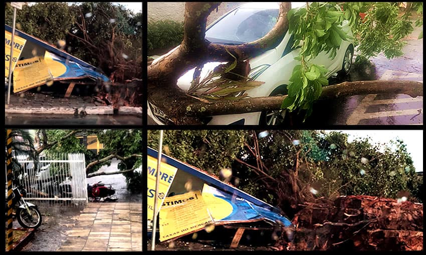 Forte temporal derruba árvores, danifica veículos e destelha órgãos públicos em Rio Branco