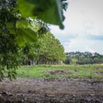 Empresa atua ainda com nove projetos socioambientais e parcerias com o município e a Ufac