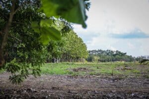 Empresa atua ainda com nove projetos socioambientais e parcerias com o município e a Ufac