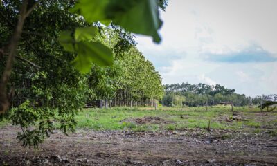 Novas regras para enquadramento e licenciamento de empreendimentos são publicadas