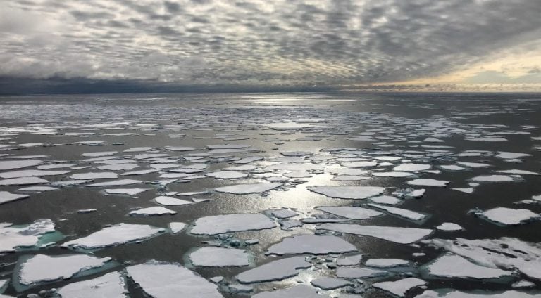 Agência da ONU reconhece novo recorde de temperatura no polo Ártico: 38º C