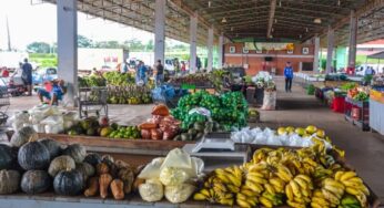 Governo prorroga prazo para cadastro na Agricultura Familiar