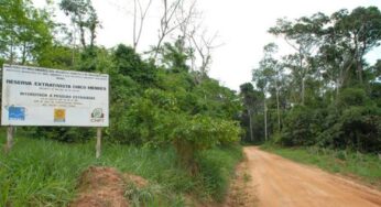O cooperativismo na Reserva Chico Mendes – o caso da COOPAEB
