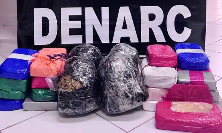 Polícia apreende quase R$ 300 mil em droga na BR-317
