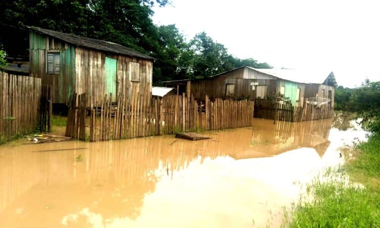 Quase 300 famílias já são atingidas pela enchente do Rio Envira, no município de Feijó