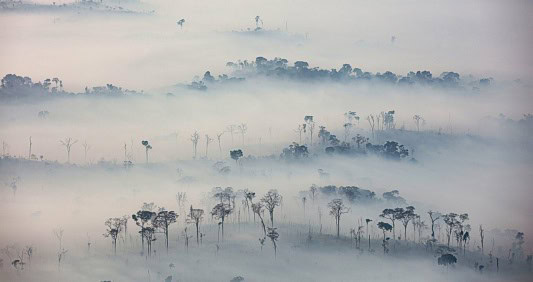 Projeto com reportagens sobre os efeitos da poluição amazônica é premiado na Espanha