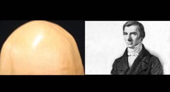 De xandão a Bastiat