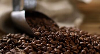 Preço do café dobra e perspectiva de queda fica apenas para 2026