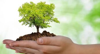 Dia, semana, mês do meio ambiente – comemoremos!