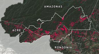 Região da Amacro responde por 11,3% da área desmatada no Brasil e 19,4% da Amazônia