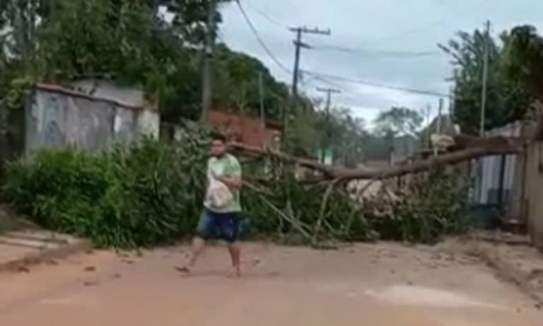 Ventania provoca destroços, derruba árvore e interdita rua na capital acreana