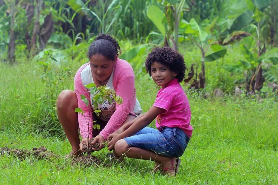 SOS Amazônia, que teve Chico Mendes como um dos criadores, completa 34 anos de trajetória