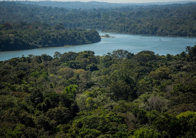 MMA e PNUD abrem 2ª chamada pública para potenciais beneficiários do Projeto Floresta+ Amazônia