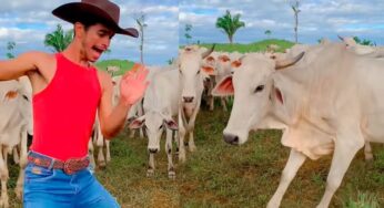 Vídeo de acreano sendo atacado por vaca viraliza e vai parar no Programa da Eliana