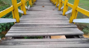 População aguarda reforma de ponte em pista de caminhada do Parque do Tucumã