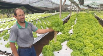 Paranaense luta contra dificuldades para produzir hortaliças com controle biológico no interior do Acre