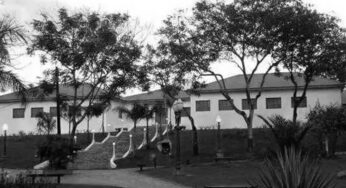 O cemitério clandestino de fetos na Maternidade