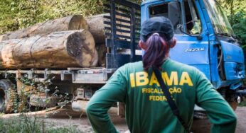 Marina Silva nomeia superintendentes do Ibama em dois estados na Amazônia Legal