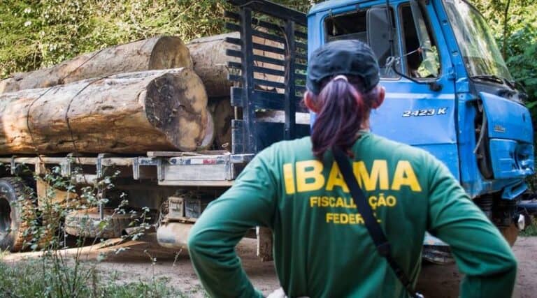 Marina Silva nomeia superintendentes do Ibama em dois estados na Amazônia Legal