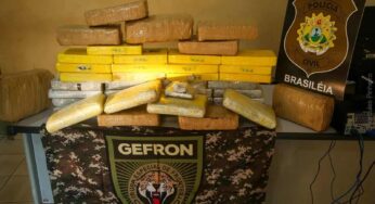 Gefron mostra que mais de 700 quilos de entorpecentes foram apreendidos no Acre
