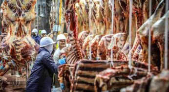 Frigoríficos são avaliados em auditoria do MPF sobre cadeia da carne na Amazônia Legal