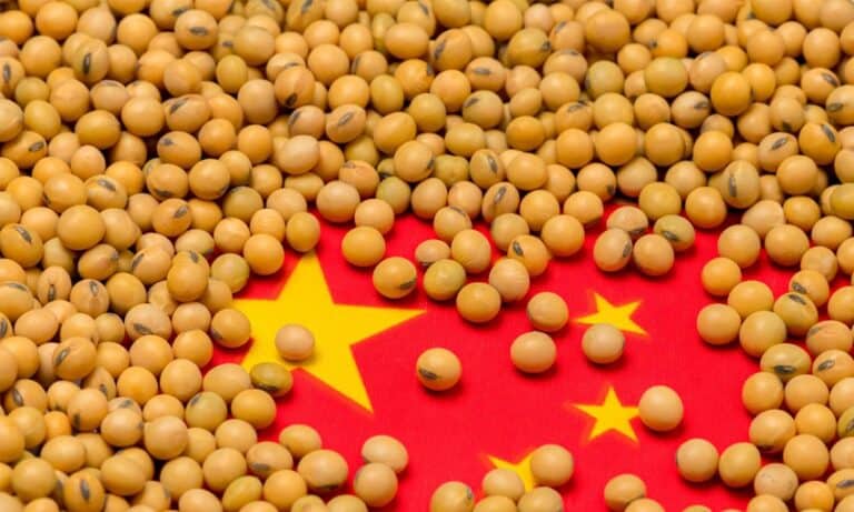 Exportação da soja do  Acre para a China crescerá 1.297% até 2030, prevê estudo do Ipea