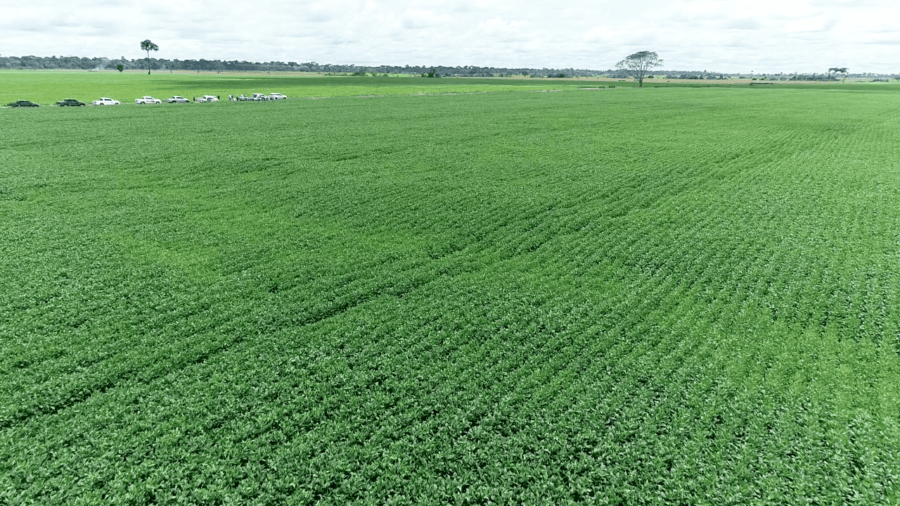 Acre deve aumentar em mais de 73% área de soja em 2023