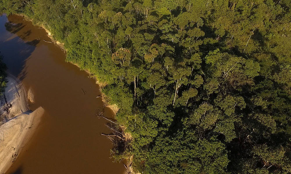 Amazônia Legal terá US$ 250 milhões em recursos para projetos de bioeconomia
